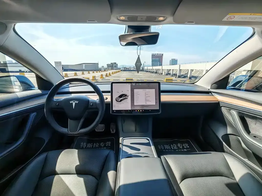 Tesla Model 3 — фото 9