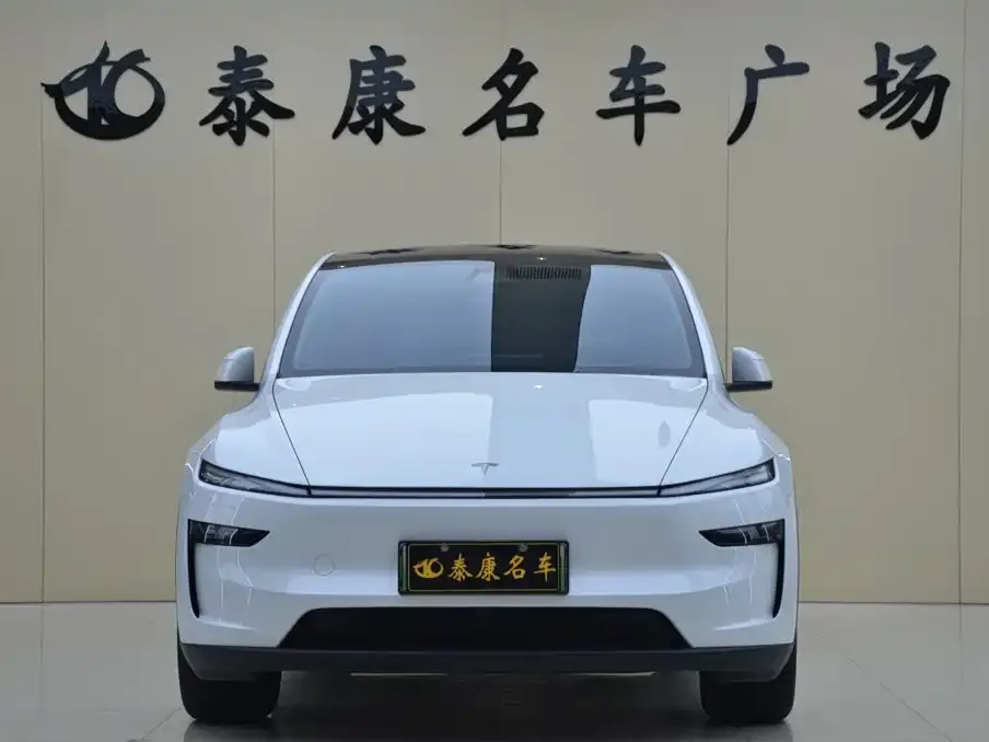 Tesla Model Y — фото 2