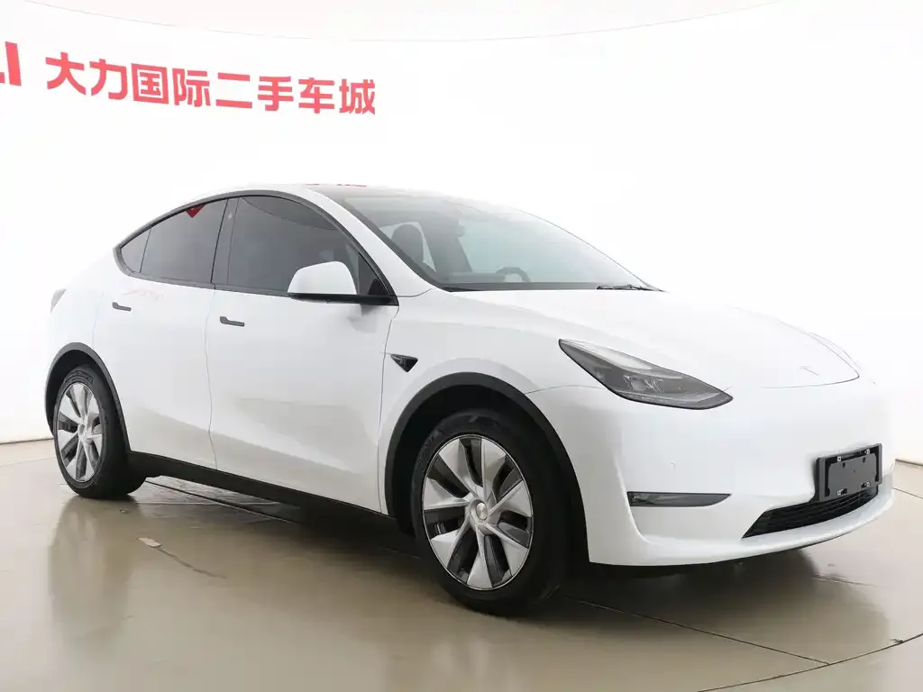 Tesla Model Y — фото 2