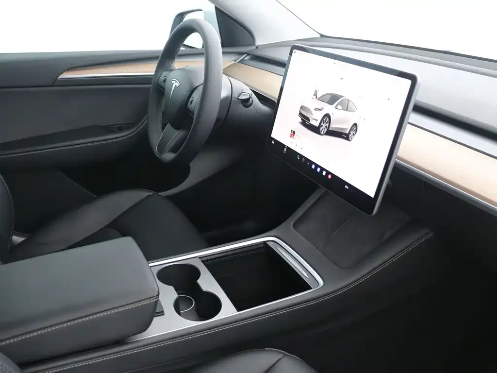 Tesla Model Y — фото 10