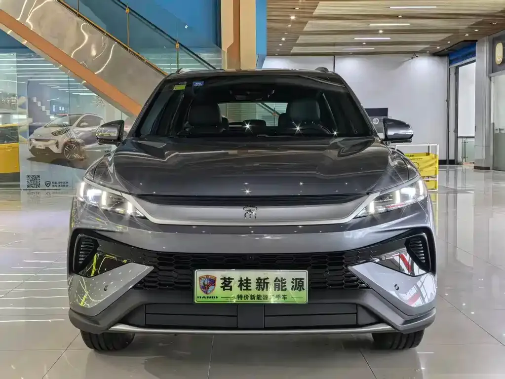 BYD Pro New Energy — фото 6