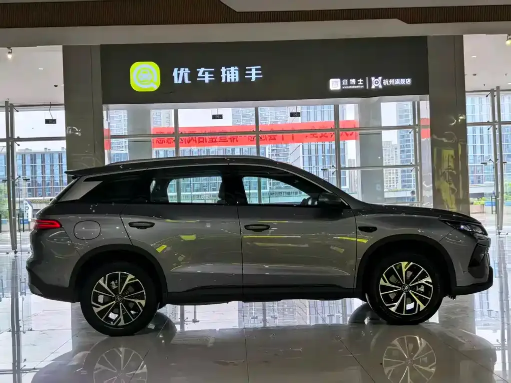 BYD Pro New Energy — фото 4