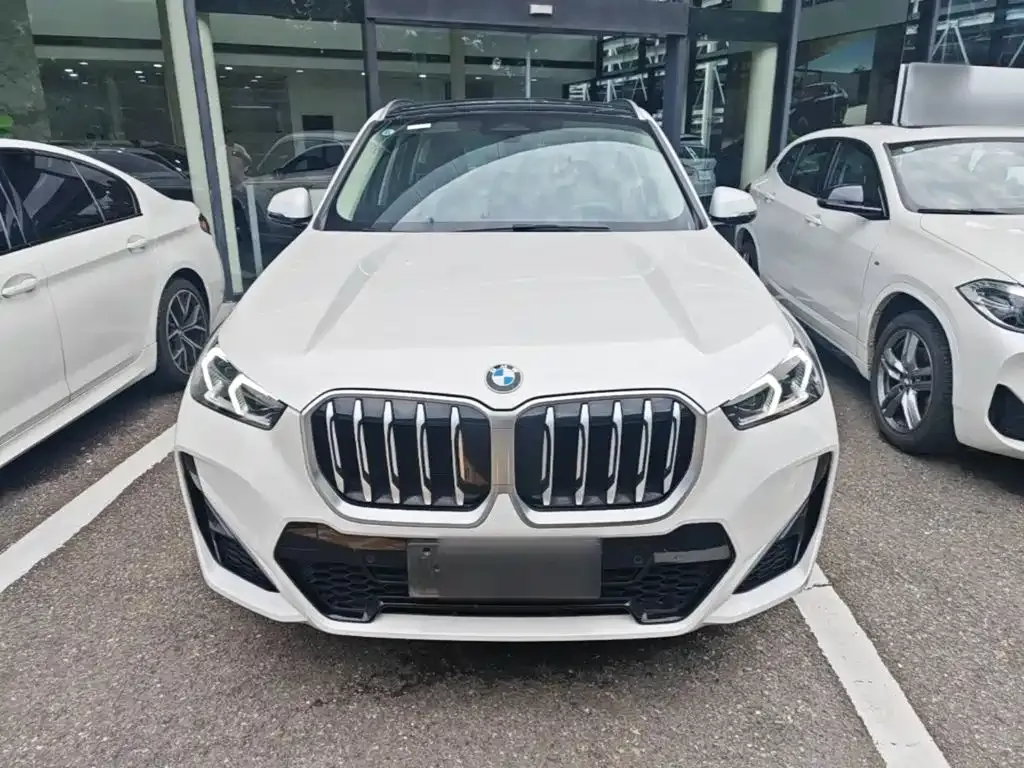 BMW X1 — фото 2