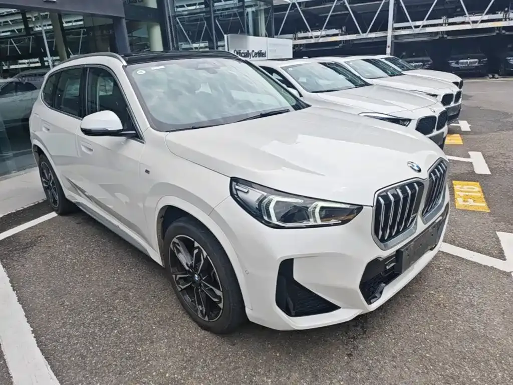 BMW X1 — фото 10