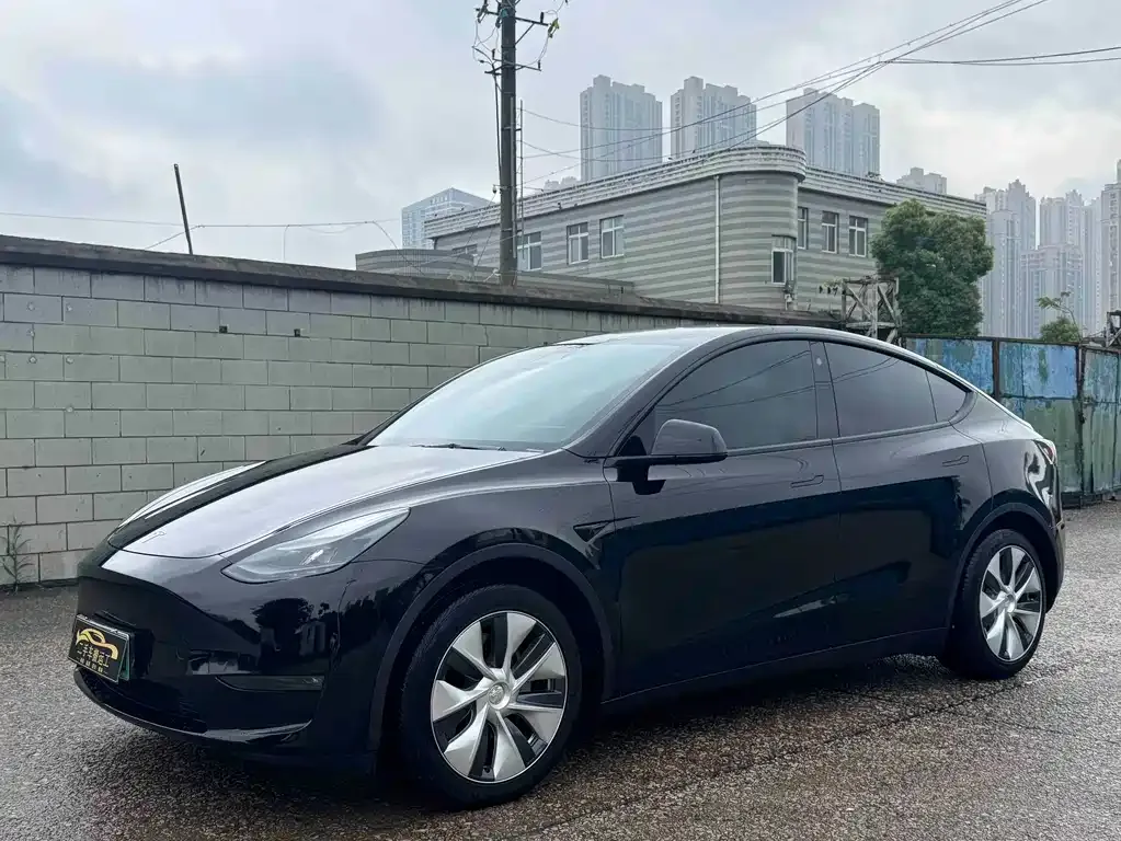 Tesla Model Y — фото 1