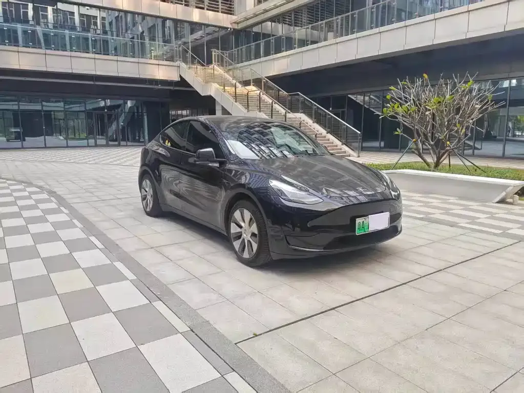 Tesla Model Y — фото 2