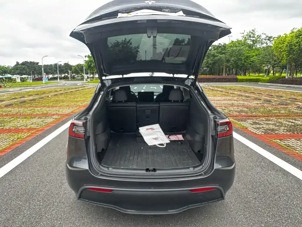 Tesla Model Y — фото 4