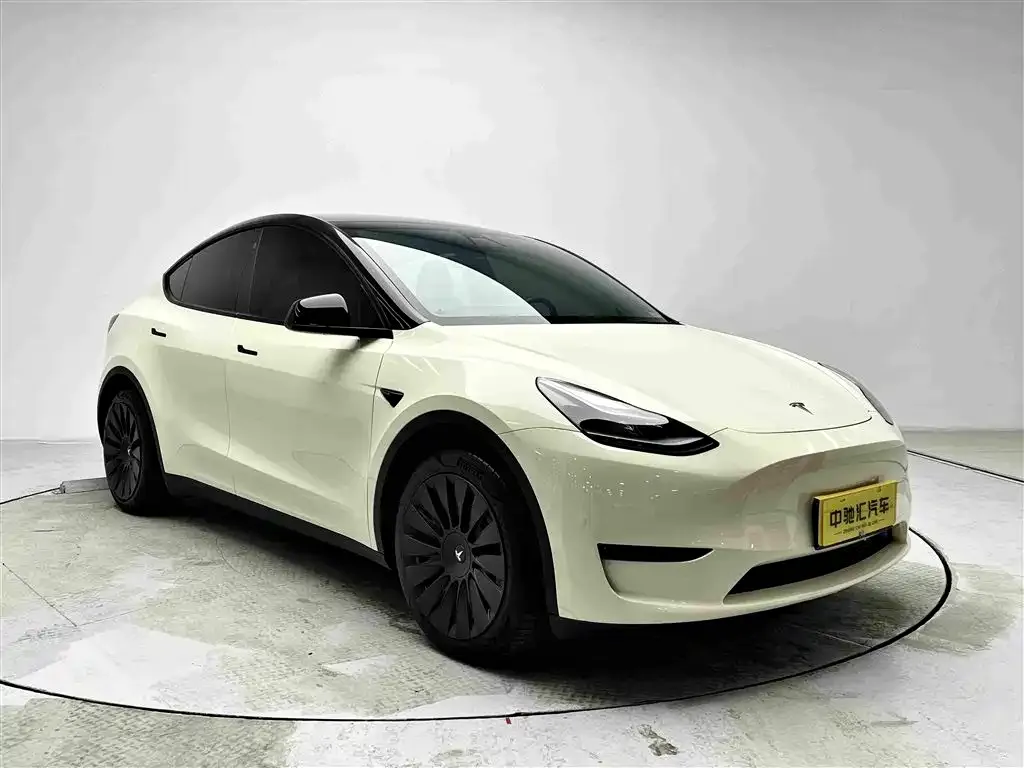 Tesla Model Y — фото 10