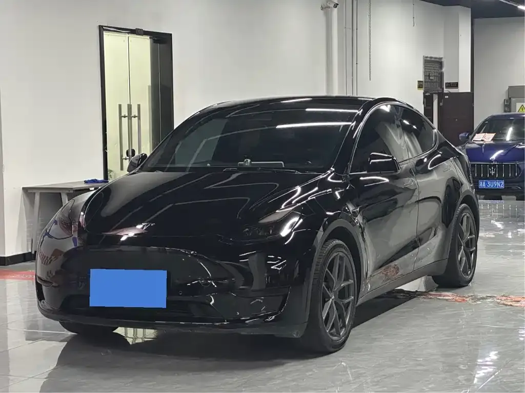 Tesla Model Y — фото 2