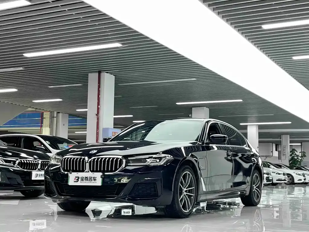 BMW 5 Series New Energy