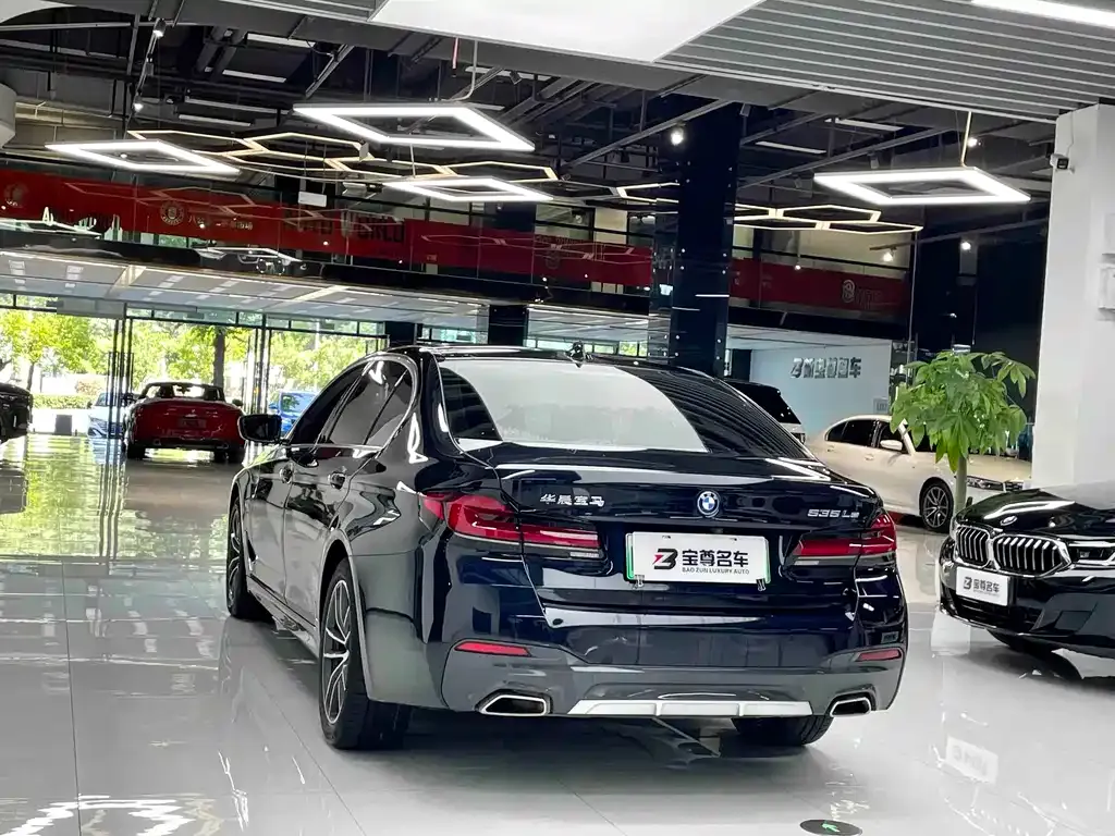 BMW 5 Series New Energy 2024 из CN, фото 10