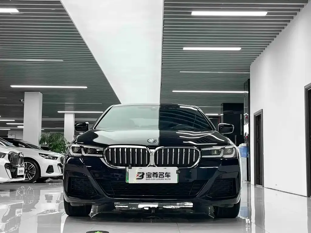 BMW 5 Series New Energy 2024 из CN, фото 5