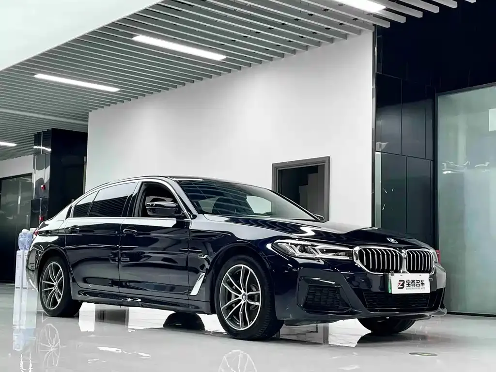 BMW 5 Series New Energy 2024 из CN, фото 6