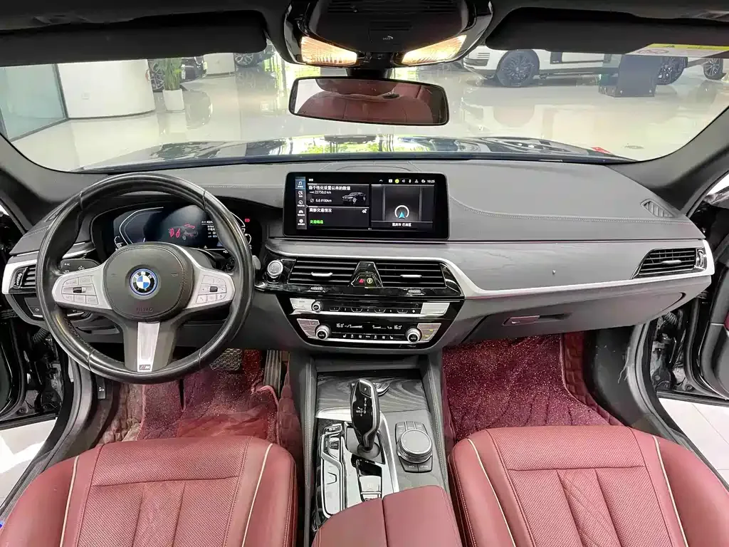 BMW 5 Series New Energy 2024 из CN, фото 7