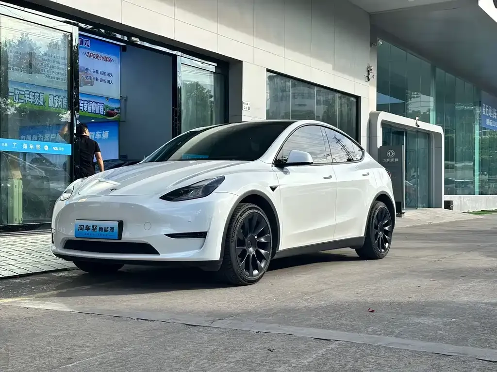 Tesla Model Y — фото 1