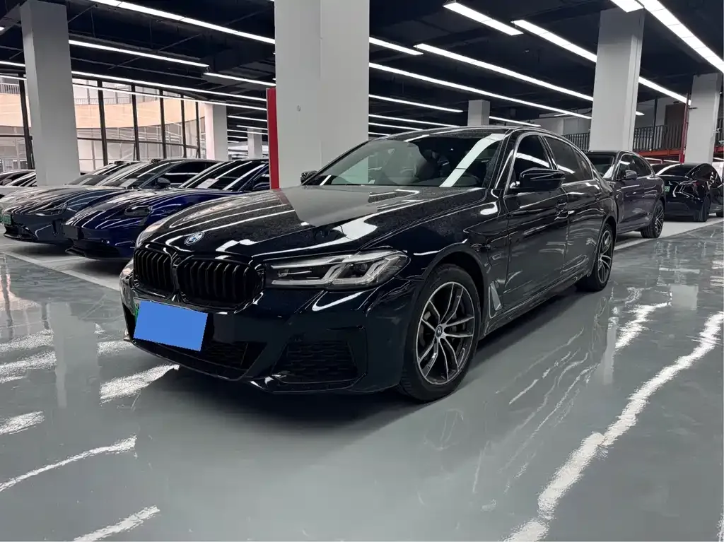 BMW 5 Series New Energy