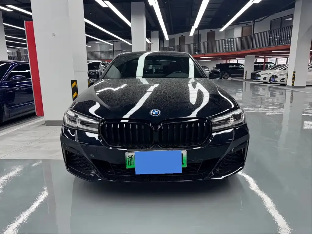 BMW 5 Series New Energy 2022 из CN, фото 8