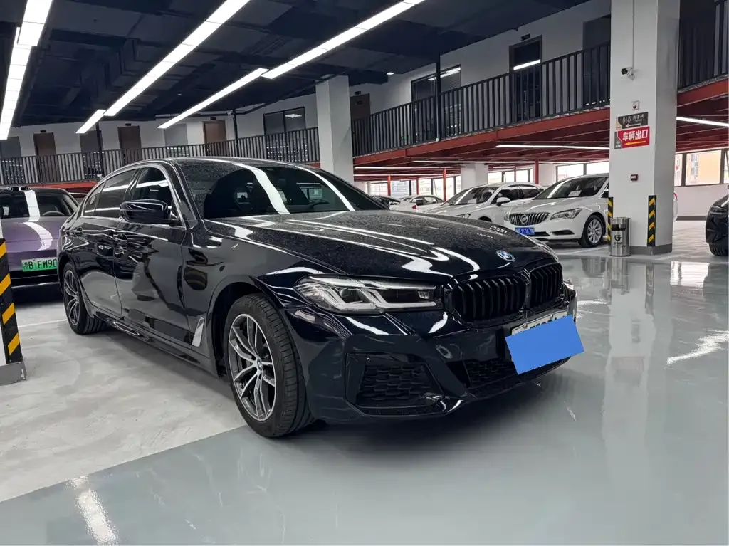 BMW 5 Series New Energy 2022 из CN, фото 9