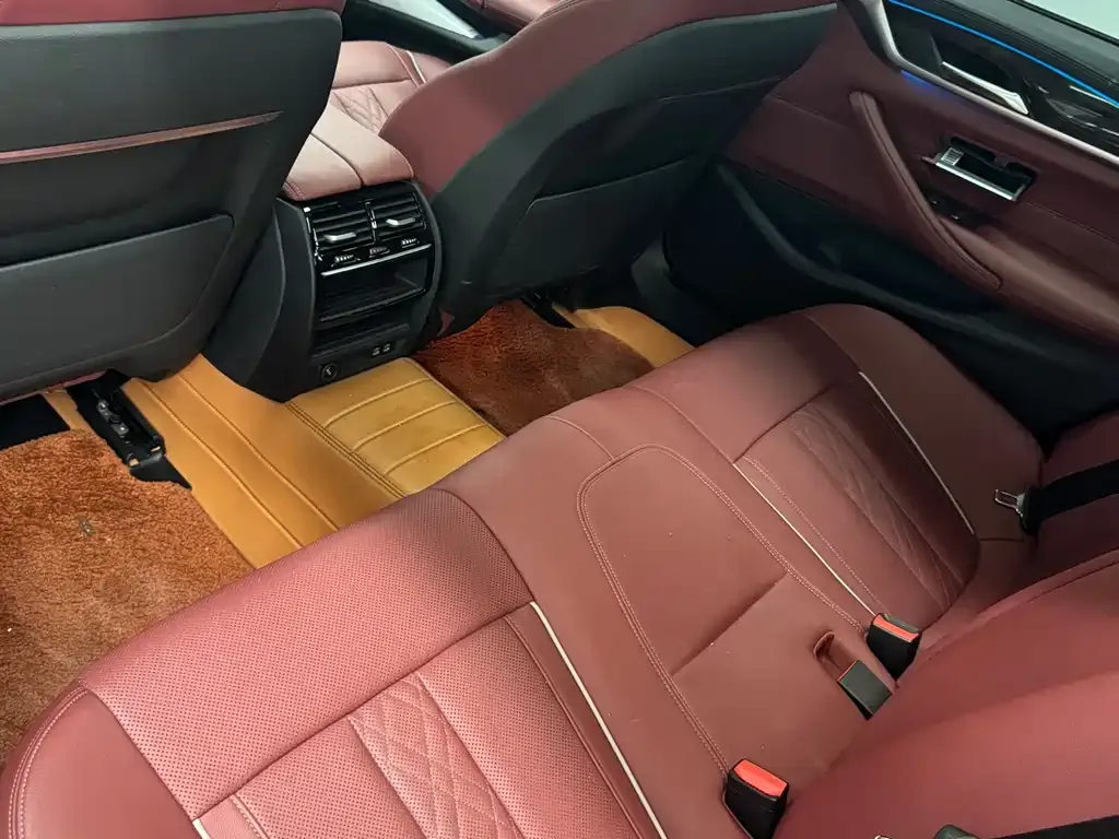 BMW 5 Series New Energy 2022 из CN, фото 5