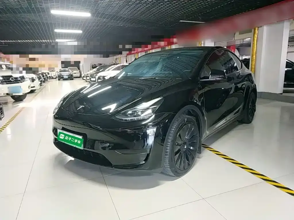 Tesla Model Y — фото 6