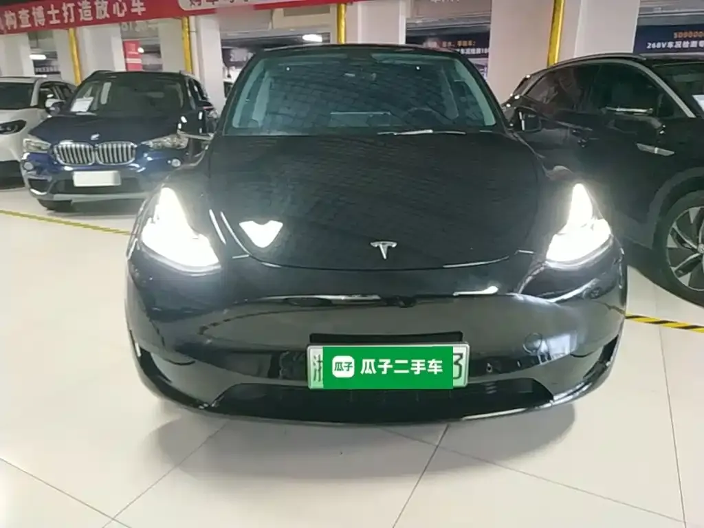 Tesla Model Y — фото 10