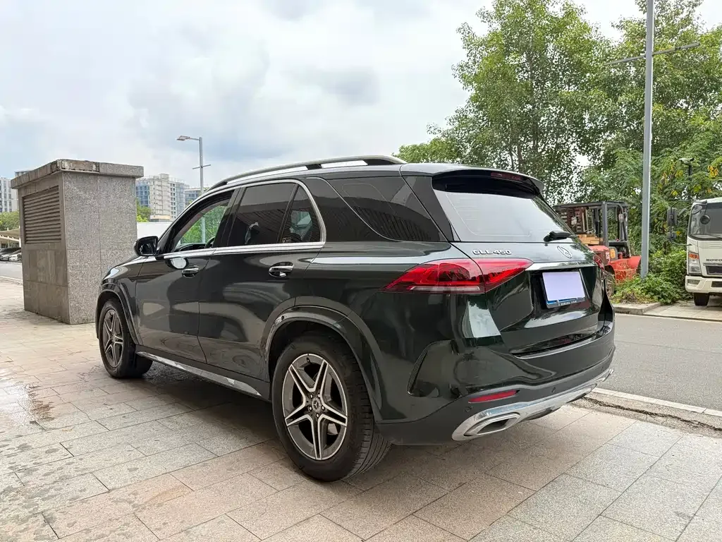 Mercedes-Benz GLE (Import) — фото 10