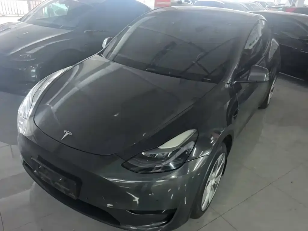 Tesla Model Y — фото 1