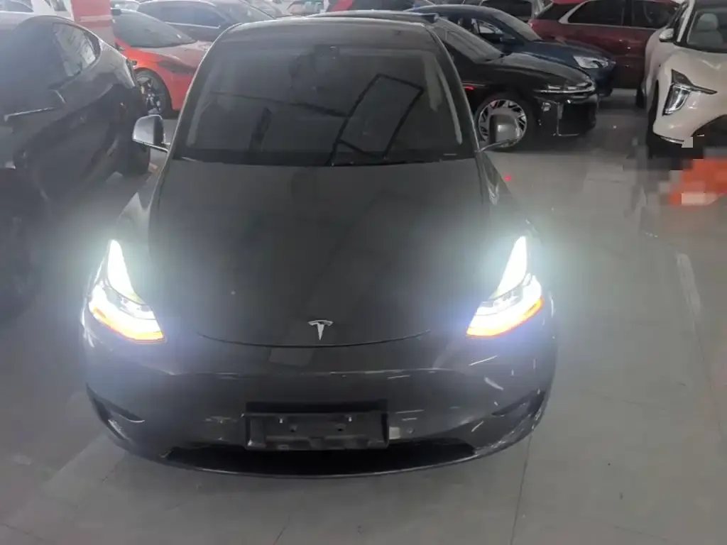 Tesla Model Y — фото 10