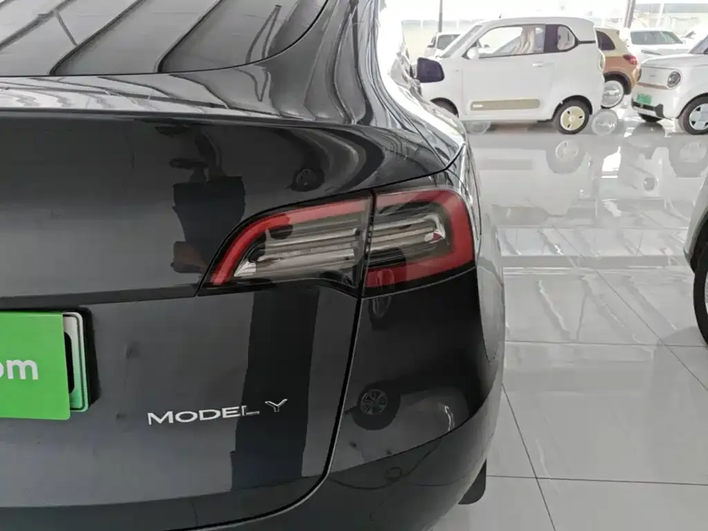 Tesla Model Y — фото 8