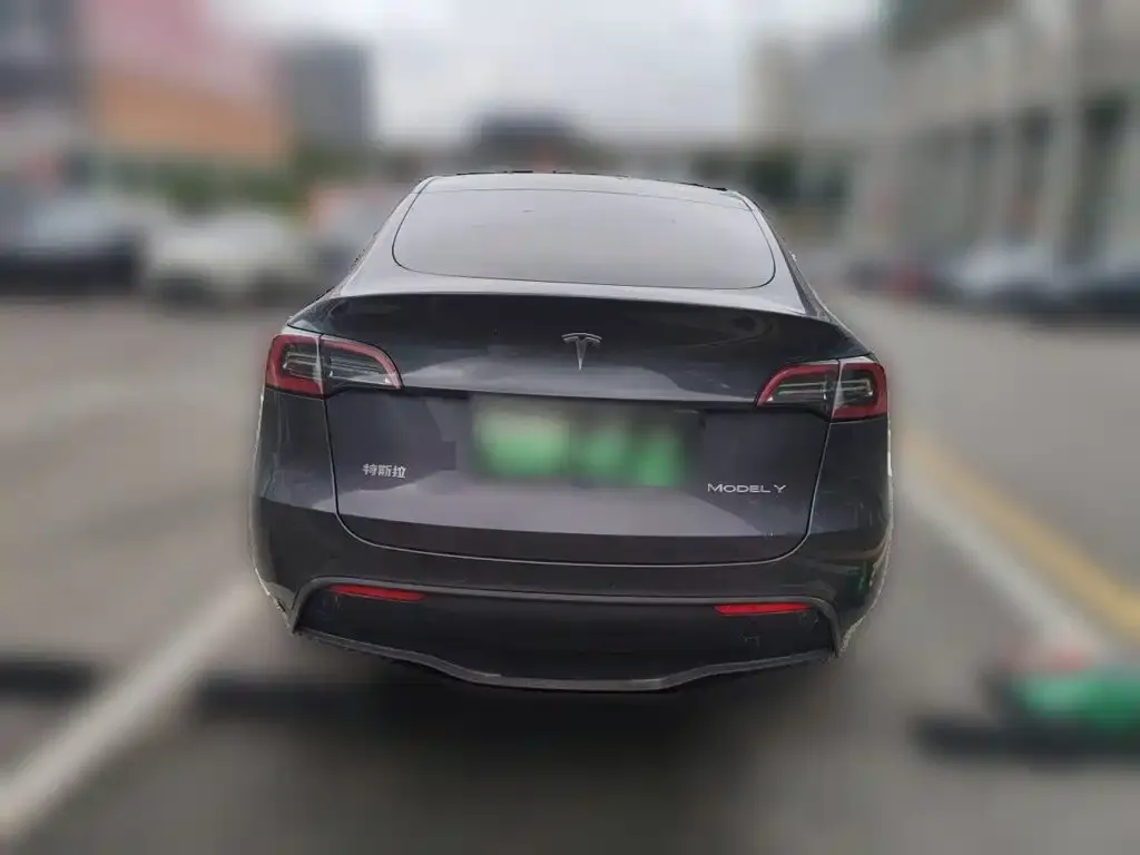 Tesla Model Y — фото 2