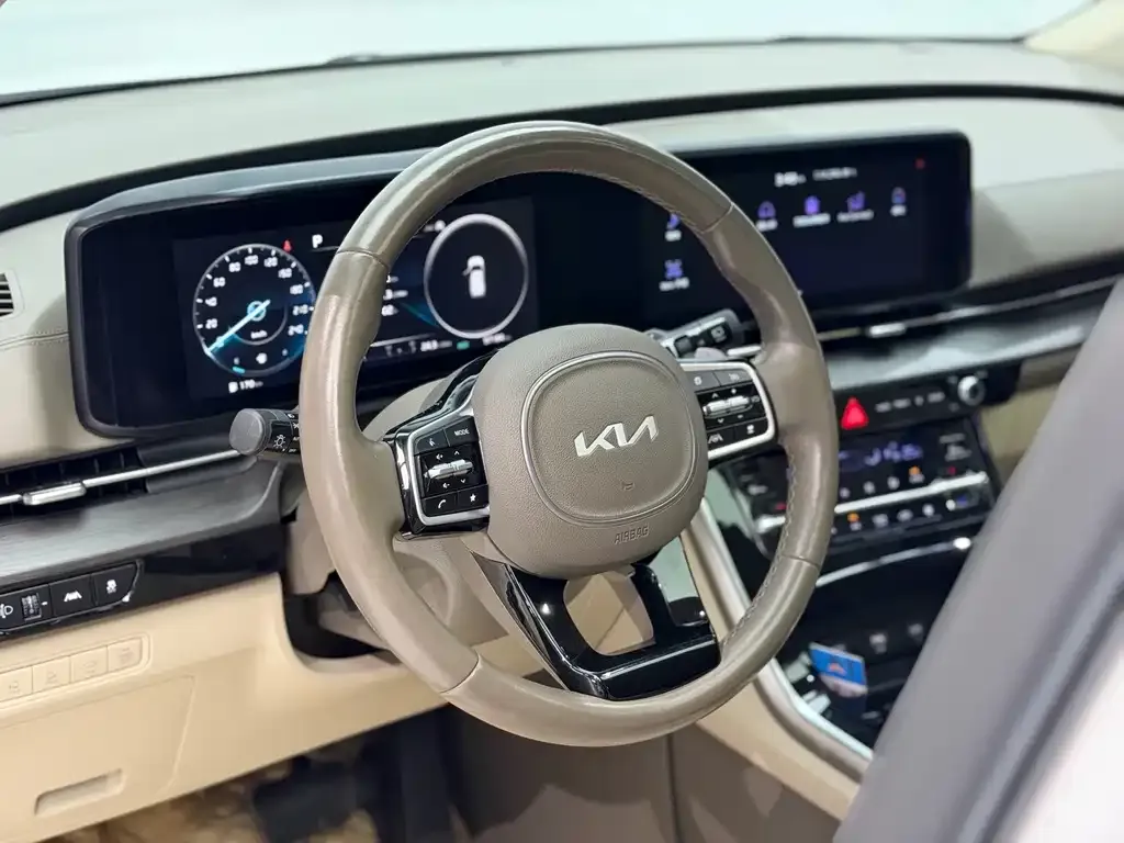 Kia Carnival — фото 8