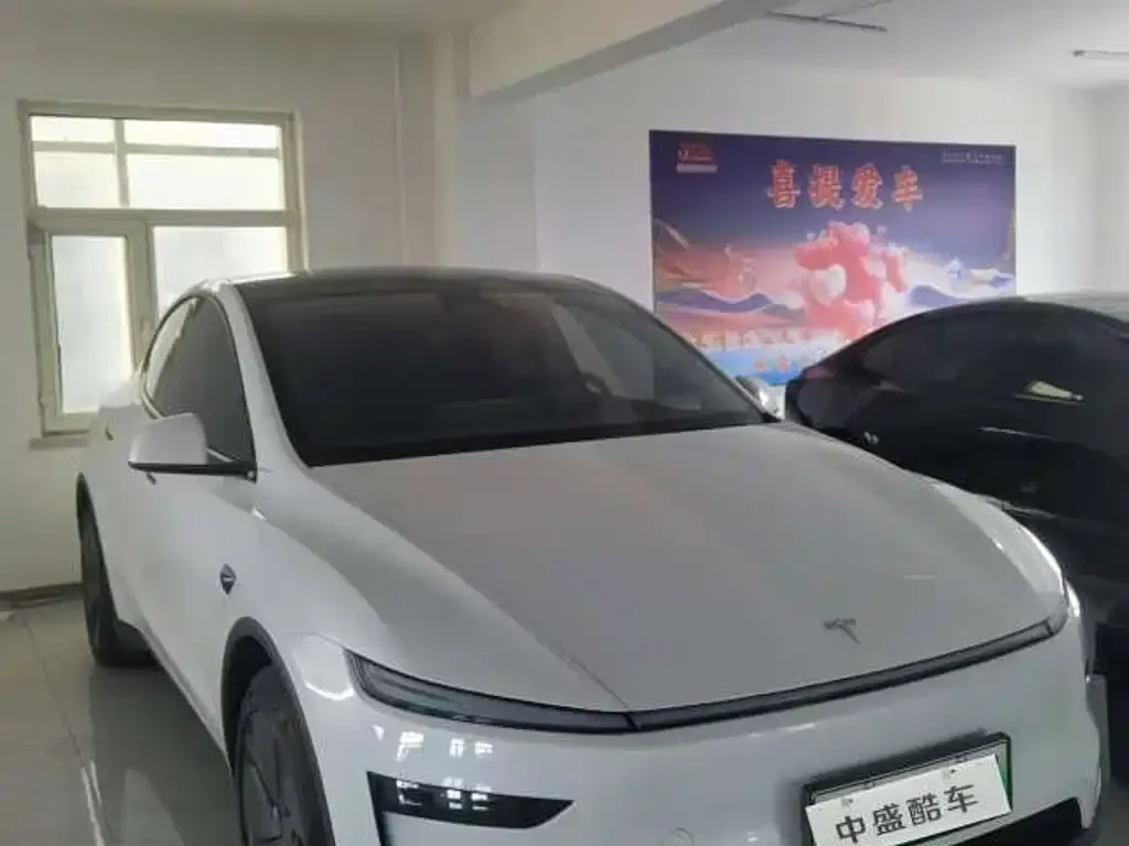 Tesla Model Y — фото 9