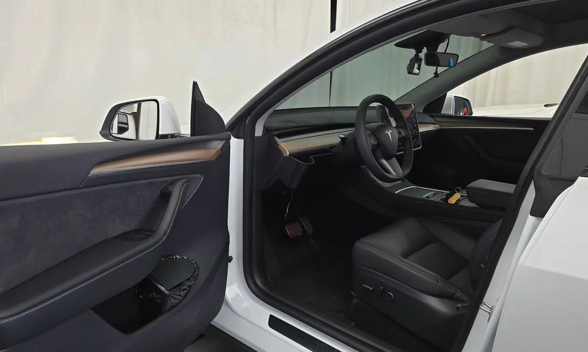 Tesla Model Y — фото 6