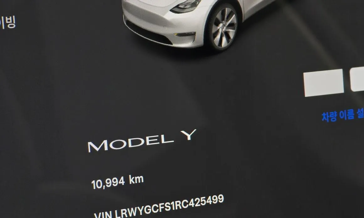 Tesla Model Y — фото 5