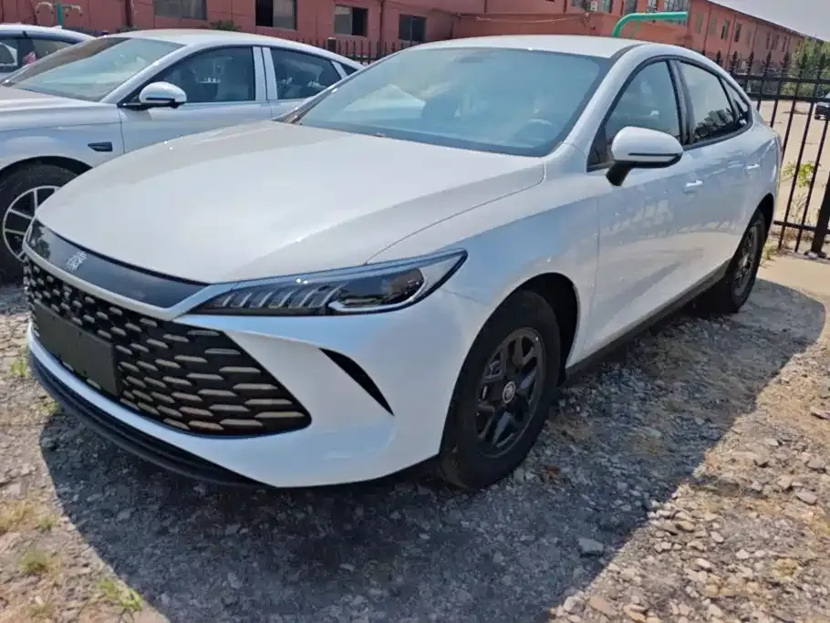 BYD Qin PLUS — фото 1