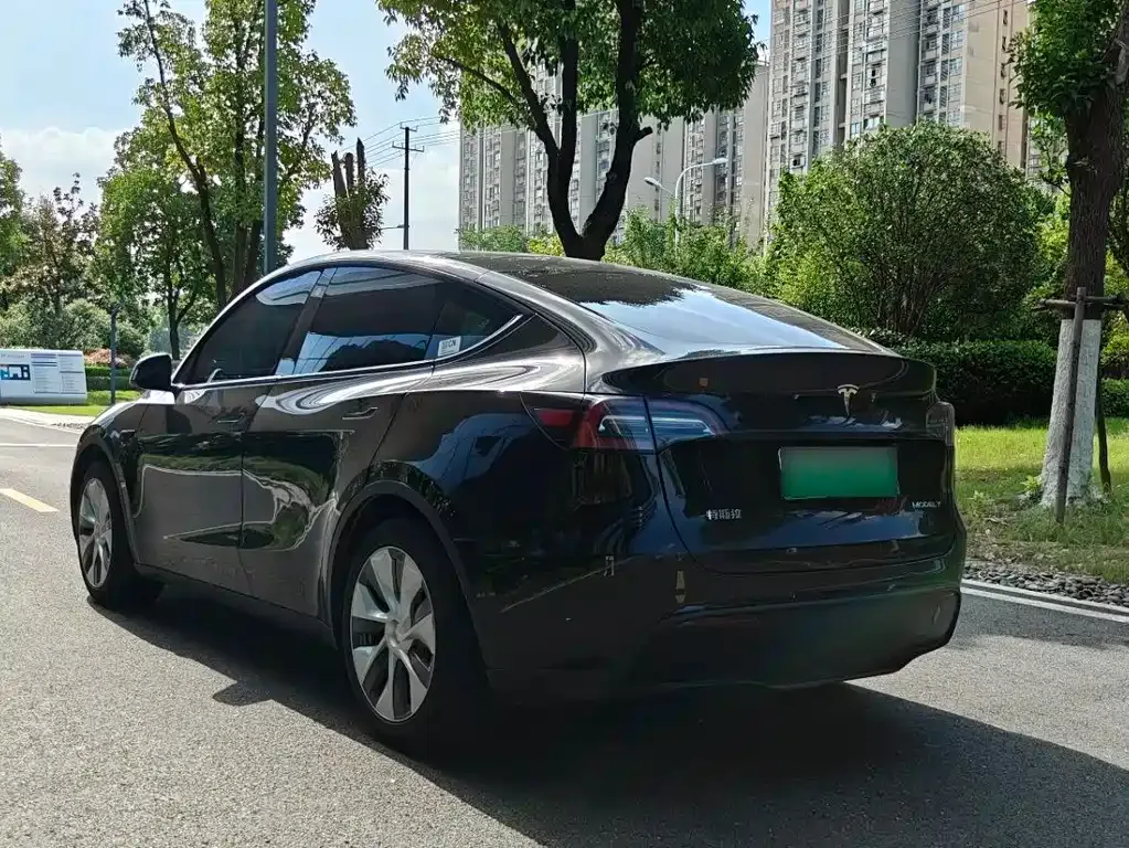 Tesla Model Y — фото 8