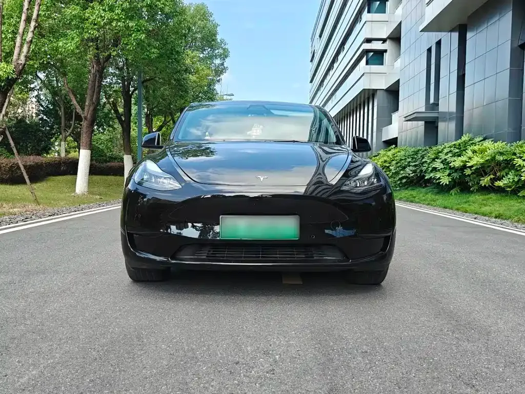 Tesla Model Y — фото 7