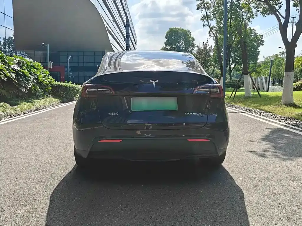 Tesla Model Y — фото 4
