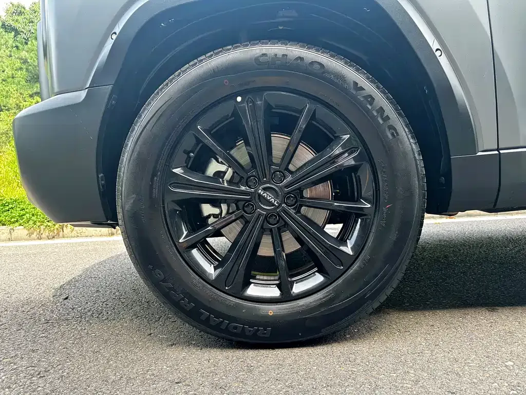 Haval Raptor — фото 7