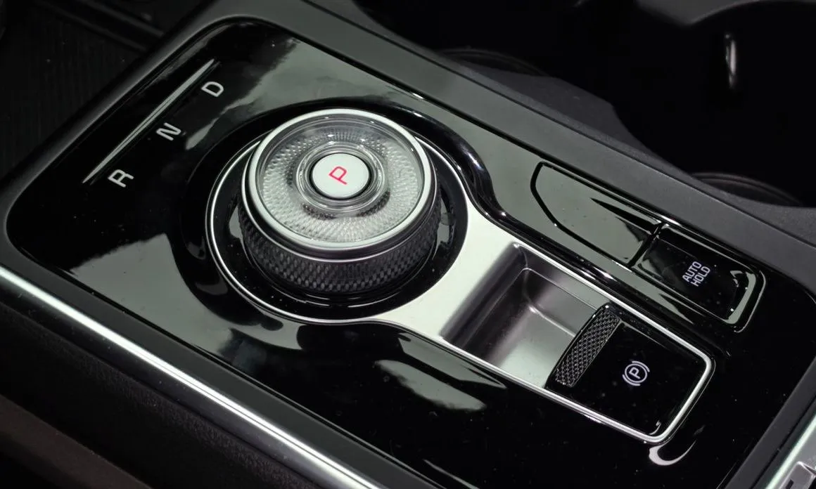 Kia Carnival — фото 10