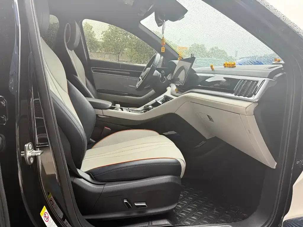 BYD PLUS New Energy — фото 10
