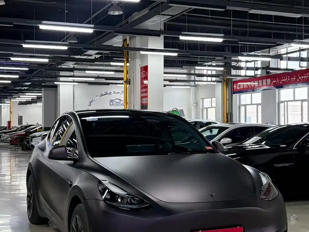 Tesla Model Y — фото 3