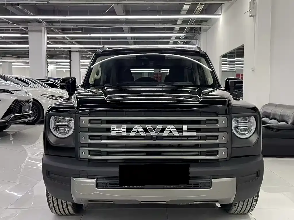 Haval Menglong New Energy 2024 из CN, фото 8
