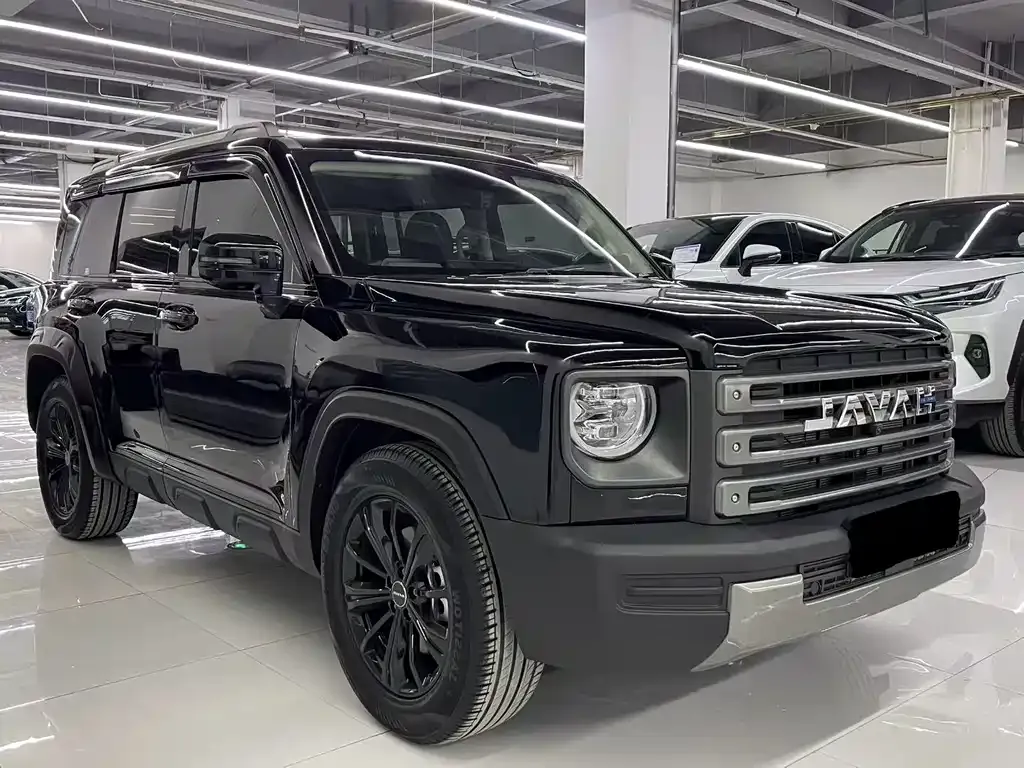 Haval Menglong New Energy 2024 из CN, фото 6