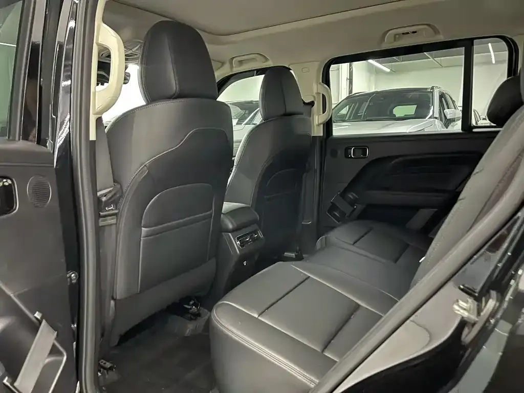 Haval Menglong New Energy 2024 из CN, фото 2