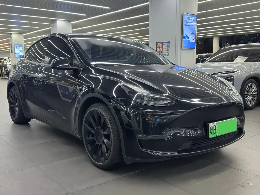 Tesla Model Y — фото 6