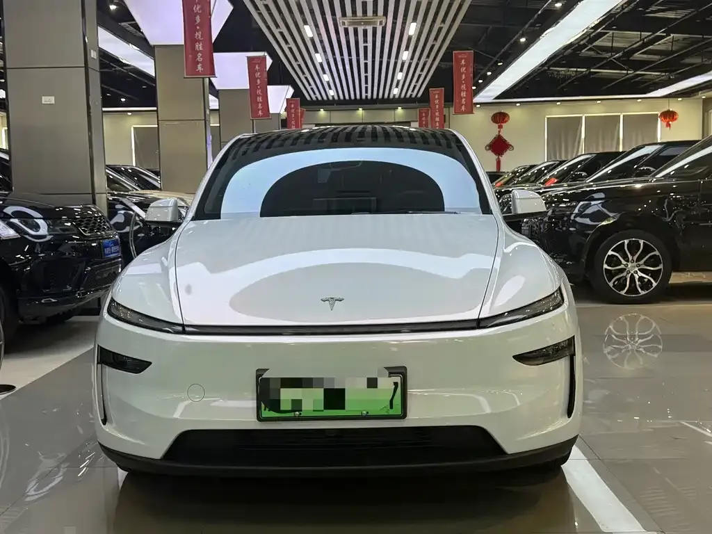 Tesla Model Y — фото 9