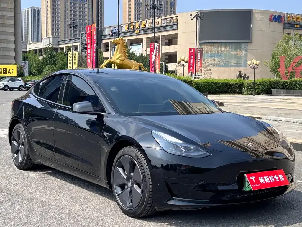 Tesla Model 3 — фото 3