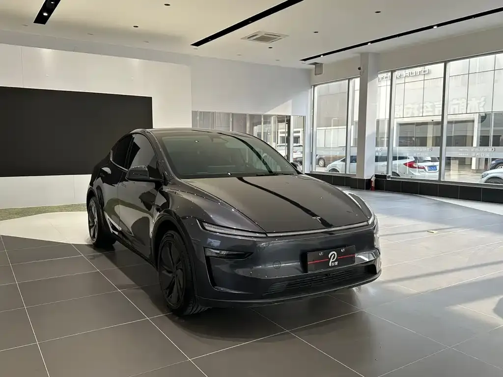 Tesla Model Y — фото 4
