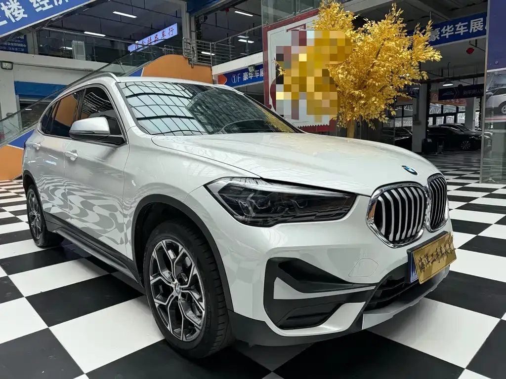 BMW X1 — фото 10